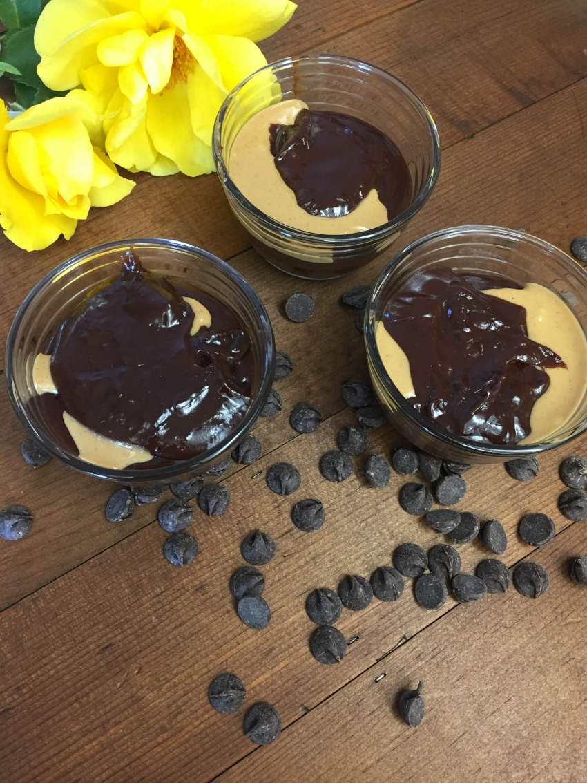 Vegan Dark Chocolate and Peanut Butter Pudding 