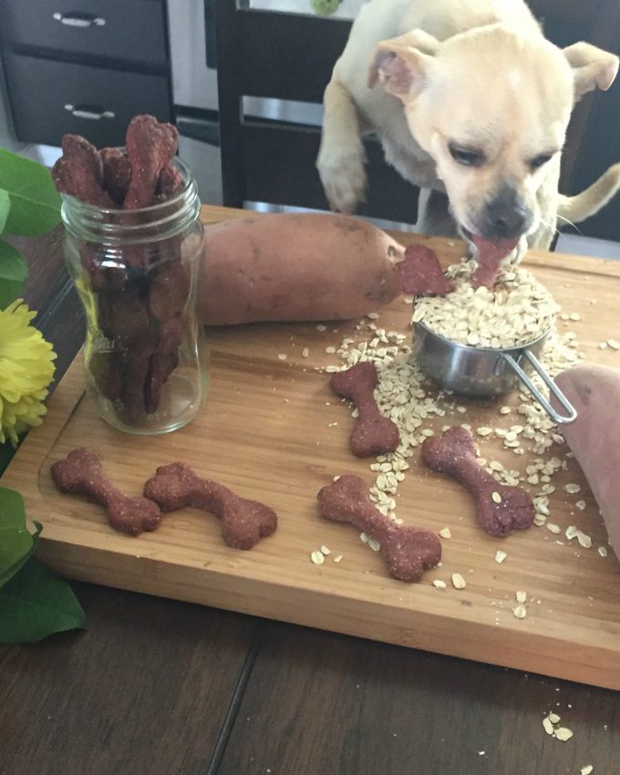 Homemade Vegan Sweet Potato Dog Cookies
