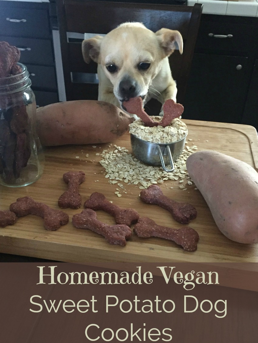 These homemade vegan sweet potato dog cookies are worth stealing! The dough is so good that the dogs stand by waiting for scraps as they are made. 