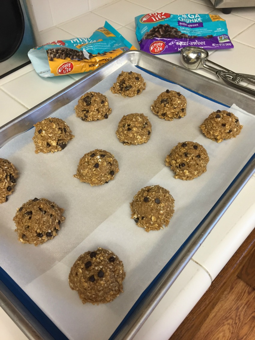 Vegan Oil-Free Oatmeal Trail Cookies