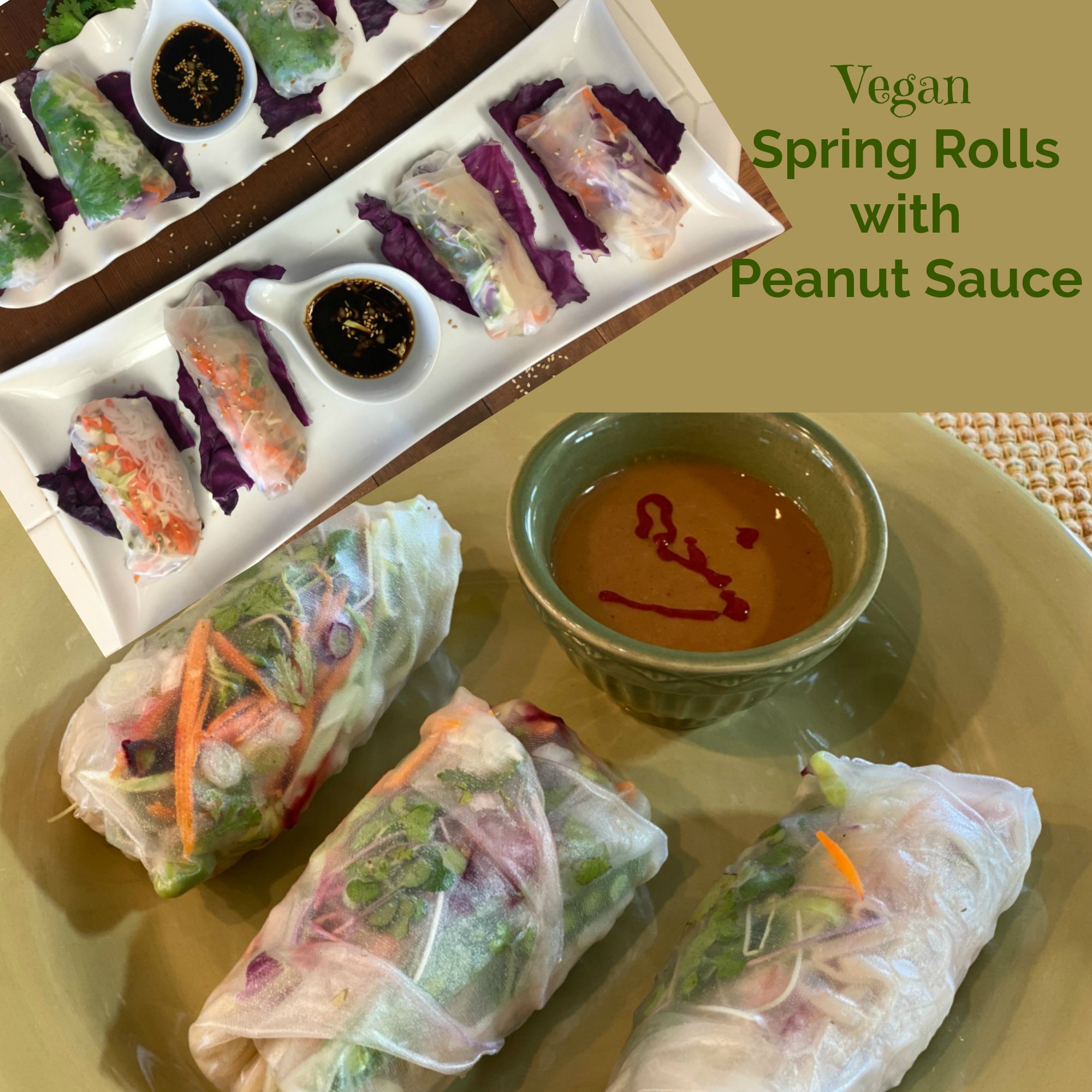 With these Vegan Spring Rolls with Peanut Sauce, you'll get lots of colorful veggies in a handy little wrap. Great as an appetizer or a meal. 